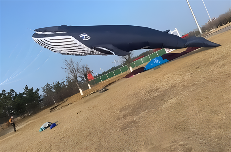 9m Pendant kite whale kite kites for adults outdoor toys Wind sock windsock inflatable kite street toys kite giant