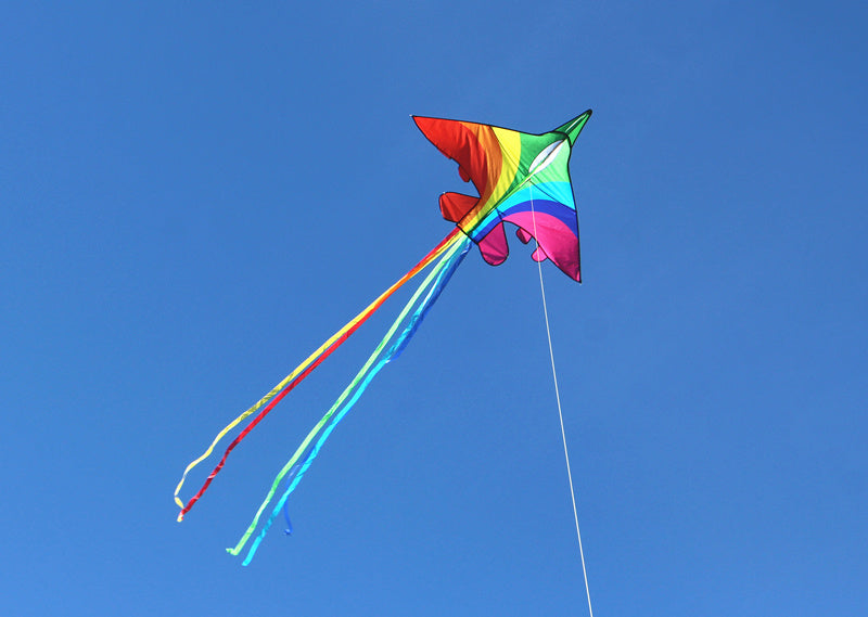 free shipping rainbow plane kites for children kites flying fighter kite line outdoor kites toys professional wind kite factory