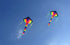 free shipping rainbow delta kites for children kites for kids reel ripstop nylon fabric kite butterfly kite windsurf parachute