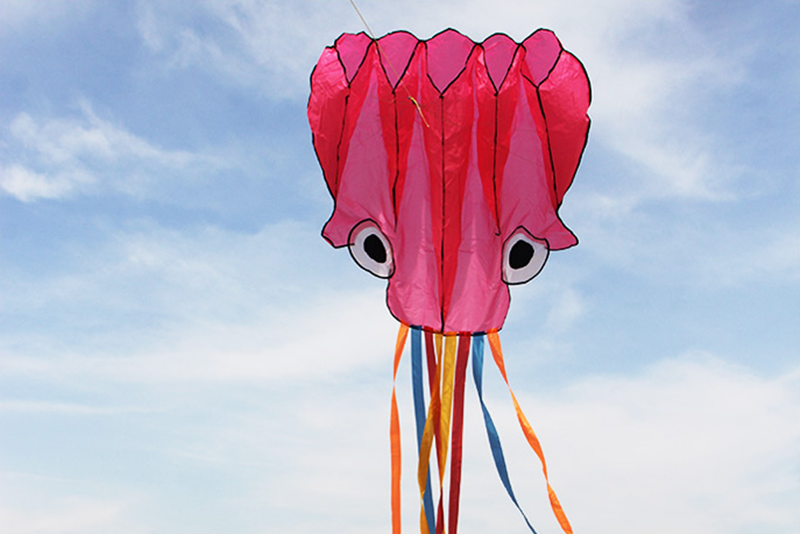 free shipping new octopus kites flying toys for children kites line professional winds kites factory adults kites kitesurf koi