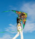 Free Shipping new kites tiger kites flying toys for children kites professional kites flying kites windsurfing Power kite flying