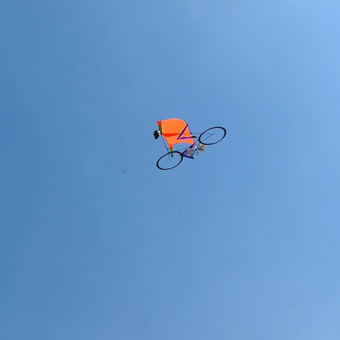 Free Shipping Dynamic Bicycle Kite 1.2m*1.5m Line Laundry Single Line Show Kite for Kite Festival 30D Ripstop Nylon with Bag