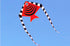 free shipping 10pcs fish kite factory wholesale outdoor flying toy kites for adults kids kite line nylon kite reel new toys
