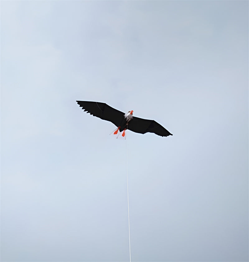 free shipping white eagle kite handle line kite surf for adults 3d kites kids flying toys windsocks bird kites sutherland sharks