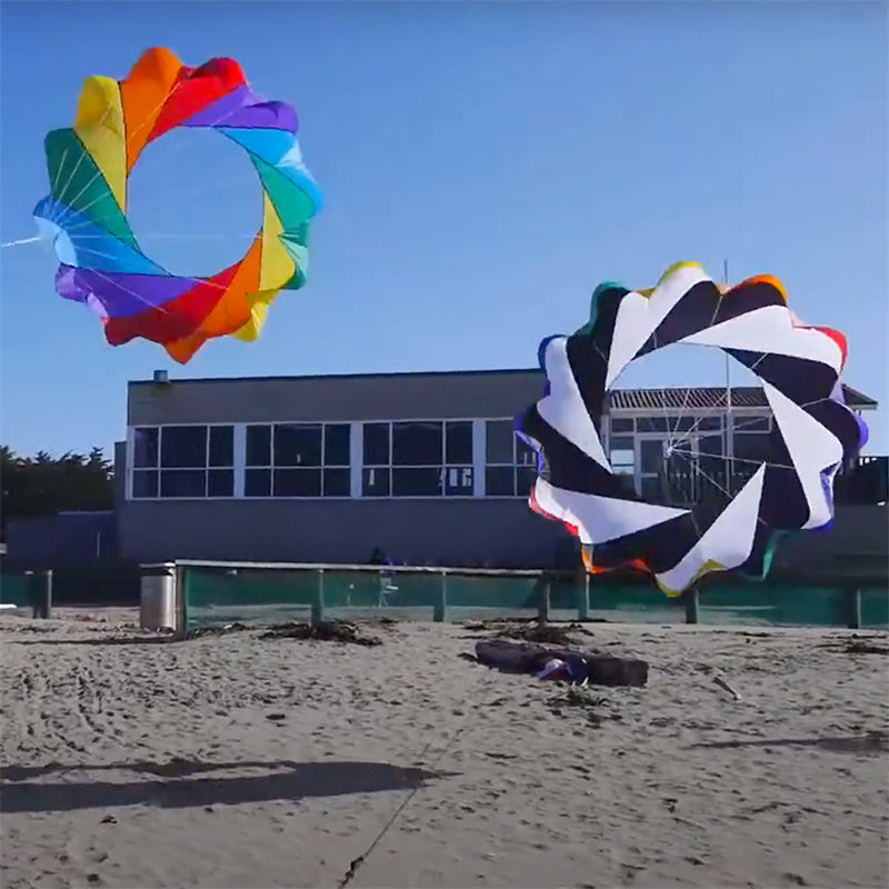 Free Shipping 2m Snake Spinning Windsock Ring Kite Line Laundry Inflatable Show Kite for Kite Festival Best 30D Ripstop Nylon with Bag