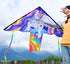 Free Shipping Horse kites fabric animal kites for kids kites factory professional kites flying dragon Children toy Power kite