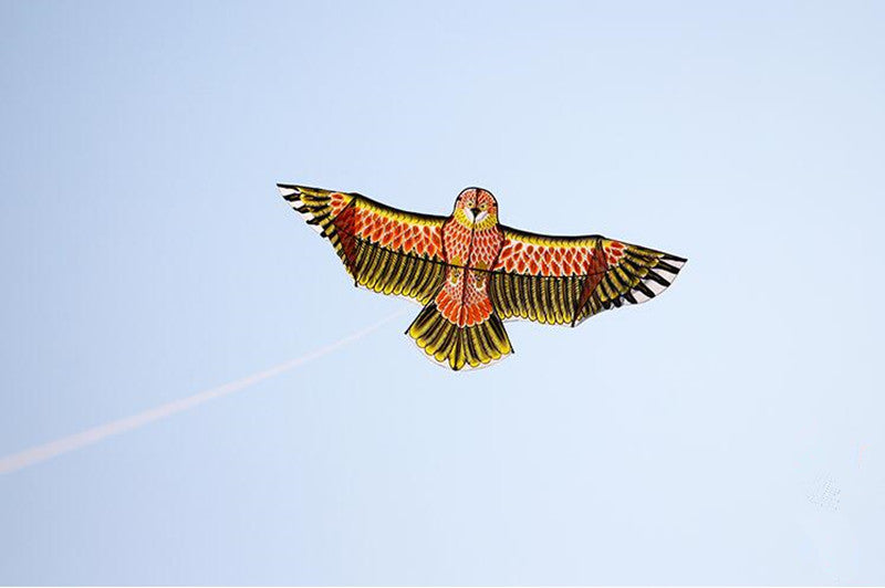 free shipping 10pcs/lot eagle kite wholesale factory weifang kite ripstop nylon fabric flying bird kites for adults professional