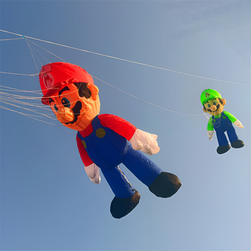 Free Shipping inflatable kite pendant flying soft kite windsocks kites show windrad inflatable toys drachenflieger 3d kites