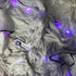 free shipping led trilobites kite for adults kite string line windsurfing papalote outdoor toys sport professional kite koi carp
