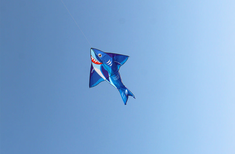 free shipping 10pcs shark kites wholesale factory weifang kites for adults kites professional rainbow high cometas de viento koi