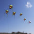 free shipping trilobites kite factory weifang big kite for adults soft kites inflatable kites octopus kite ikite jellyfish kites