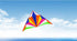 free shipping large fox kites for adults delta kite flying outdoor sports kites ripstop nylon fabric parachute kite lightweight