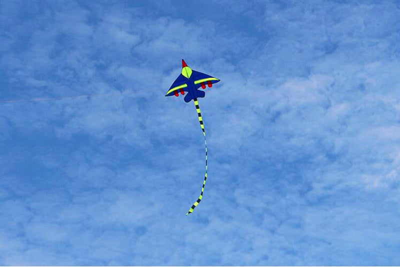 free shipping children plane kites for kids kites fighter kite line outdoor game toys cerf volant professional wind kites jouer