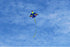 free shipping children plane kites for kids kites fighter kite line outdoor game toys cerf volant professional wind kites jouer