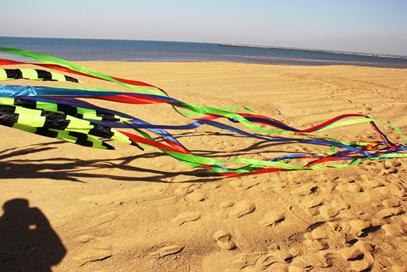 free shipping 8m jellyfish kites flying for adults kites line nylon kites factory professional paragliding inflatable show kites