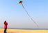 free shipping delta kites 6m tails flying toys for children kites fabric ripstop nylon outdoor sports beach kites factory ikite