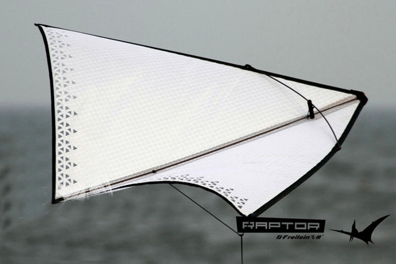 free shipping Freilein Kite single line kites for adults kites flying indoor kites hovering eagle kite ripstop nylon fabric koi
