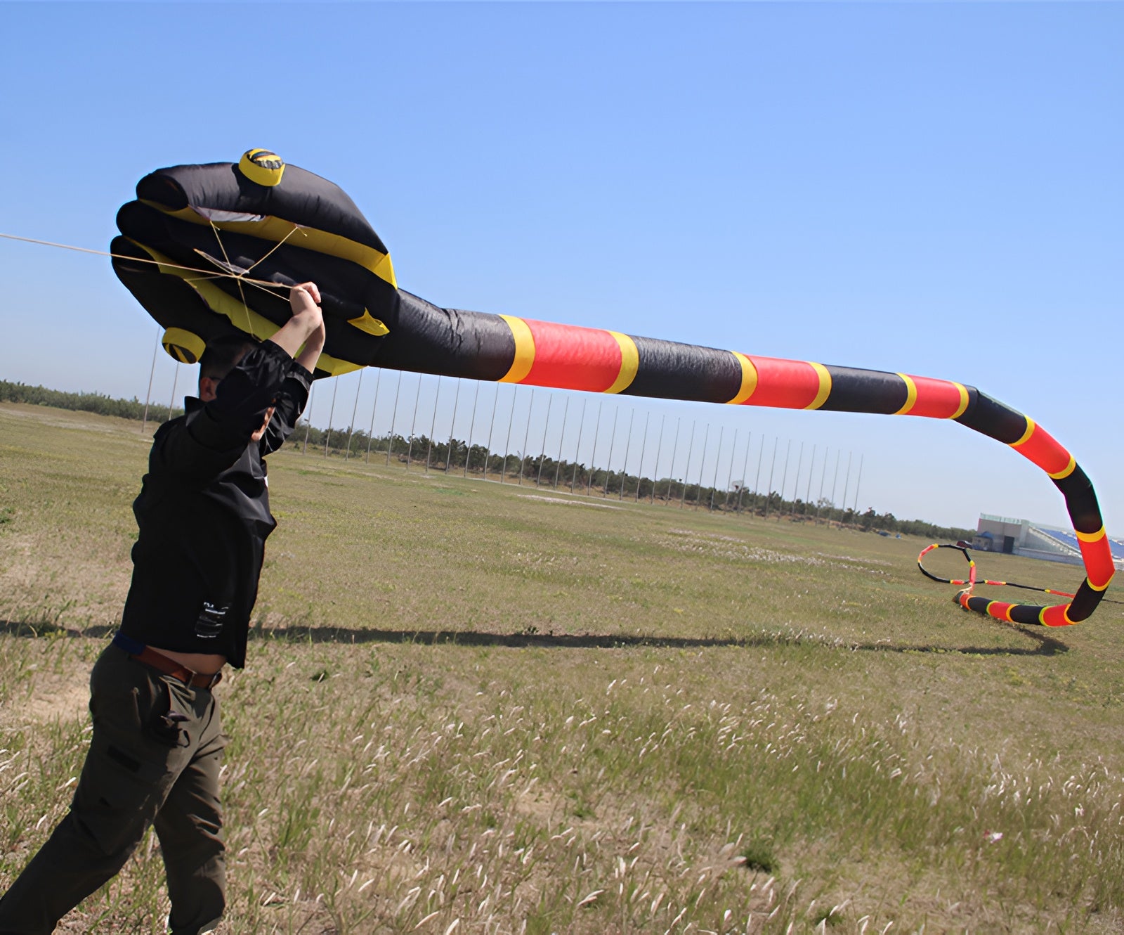 Free shipping snake soft kites professional kites for adults kite flying steering kites inflatable kite large kite flying kevlar