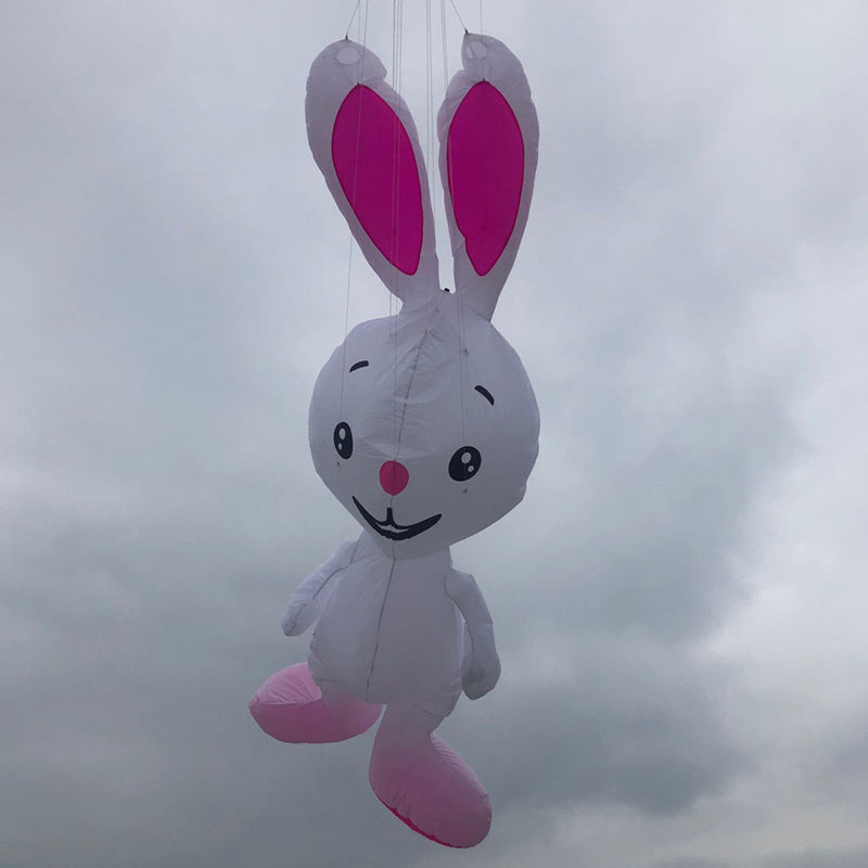 free shipping rabbit kites flying for adults kites pendant professional wind kites line giant kites factory inflatable kites koi