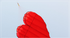free shipping soft kites flying heart kites for adults kites and rays and lines love kites factory volantines paraglider fishing