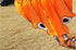 free shipping children kite flying toys octopus kite inflatable kites factory walk in sky outdoor fun ikite professional winds