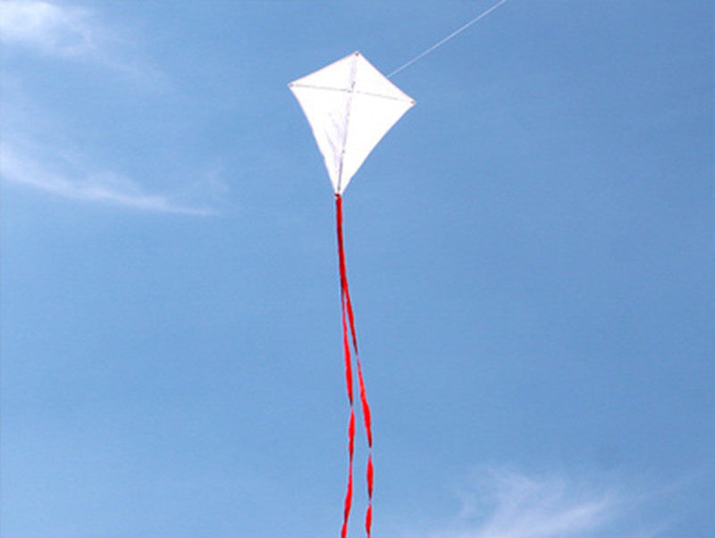 free shipping 100pcs/lot diy kite blank kite line diamond kite toys for children kites factory painting kite educational kites