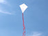 free shipping 100pcs/lot diy kite blank kite line diamond kite toys for children kites factory painting kite educational kites