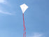 free shipping diy kite blank kite ripstop nylon education kite factory ad. kite diamond painting kites for children kites toys