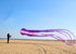 free shipping large octopus kite for adults soft kite professional kites factroy kiteboard power inflatable kites nylon wind air