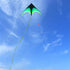 free shipping large delta kite toys outdoor fun flying kites for adults kite reel weifang kite factory eagle kites line ikite