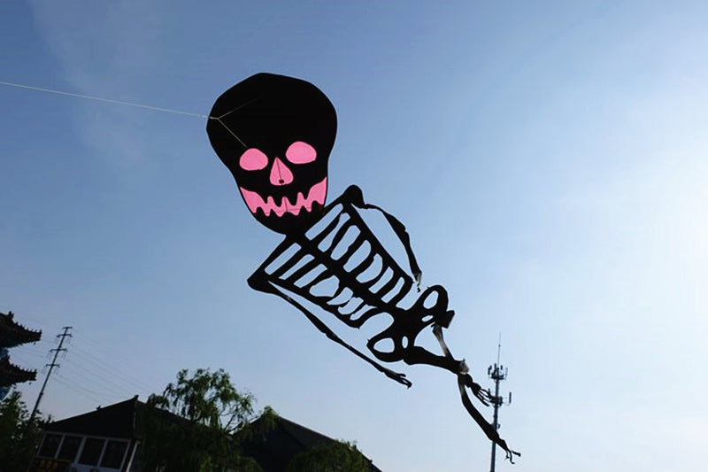 Free Shipping Skull kites flying 3d kites for adults inflatable games kite air kites for professional wind power plane kite