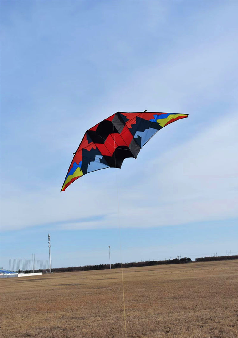 free shipping glider kites for adults kites ripstop nylon kites steering kite professional kite paraglider wing inflatable toys