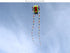 free shipping trilobites kite flying for adults kites inflatable professional kites octopus kite ikite jellyfish soft kites koi