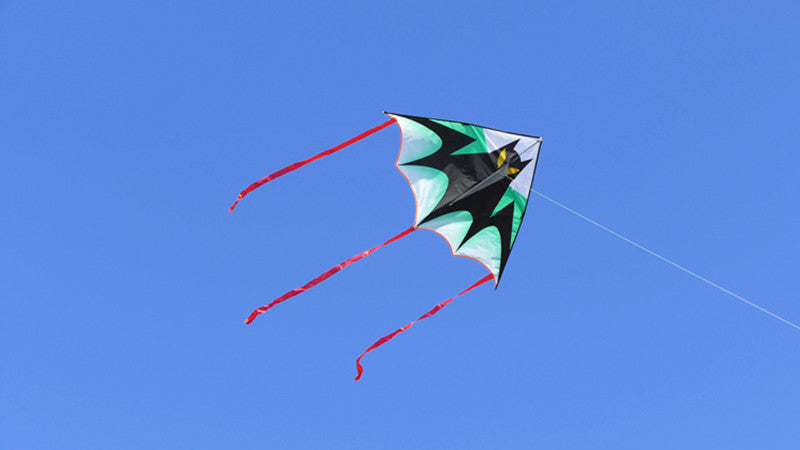 free shipping large bat kite flying children kite reel outdoor sports game kids toys ripstop nylon fabric primaris koinobori