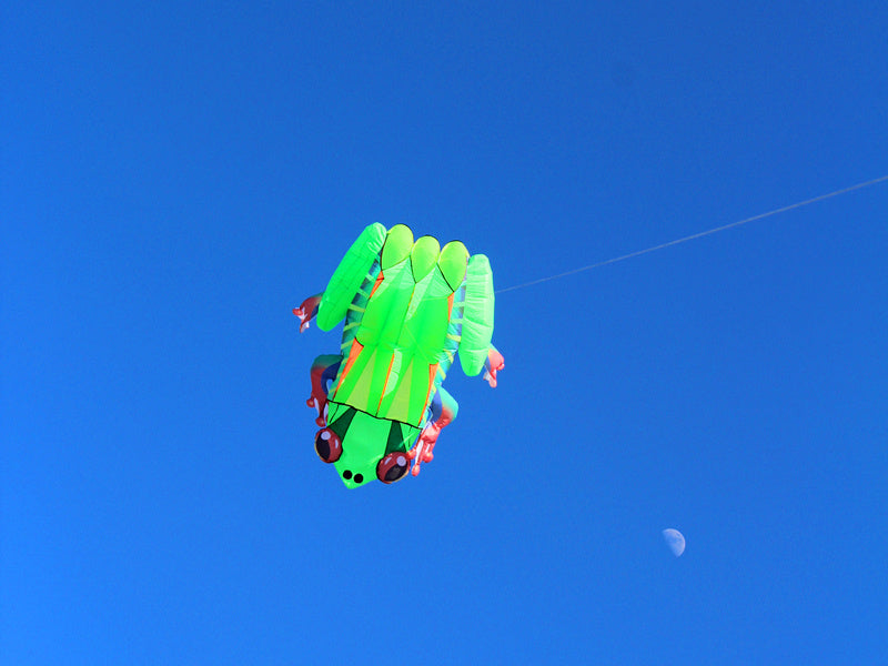 free shipping frog kite flying soft kite for adults kite line windsurf outdoor toys inflatable kite professional kite reel koi
