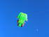 free shipping frog kite flying soft kite for adults kite line windsurf outdoor toys inflatable kite professional kite reel koi