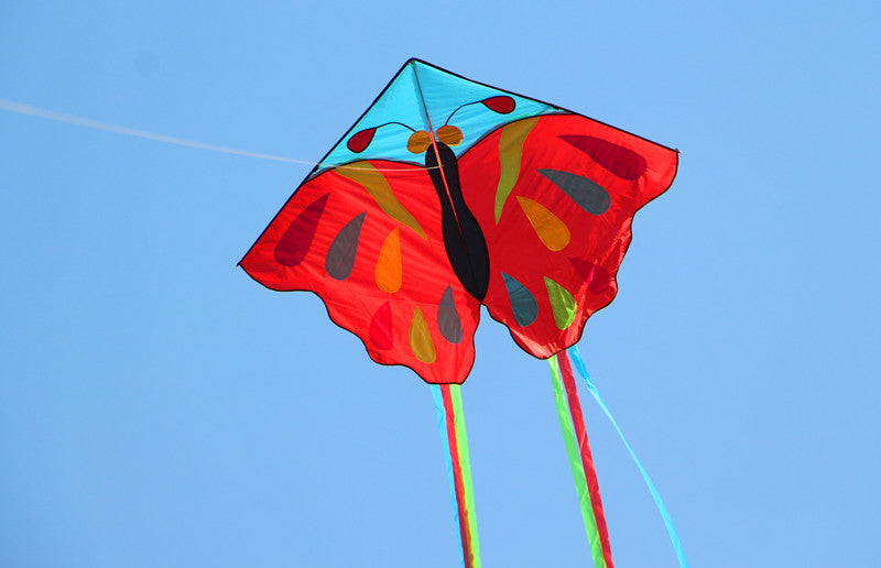 free shipping 220cm butterfly kites for adults kites string line professional winds kites reel parachute ikite factory weifang