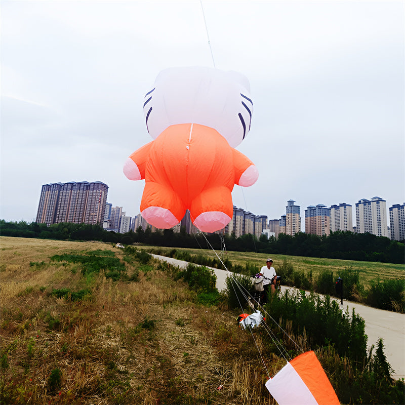 Free Shipping inflatable kite pendant flying soft kite windsocks kites show kites factory professional wind kites pilot kite
