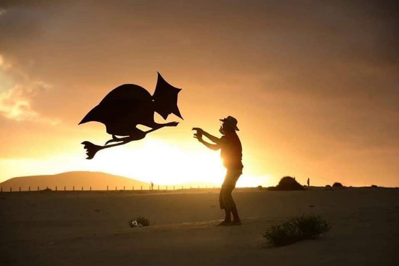 free shipping large inflatable kite Witch kite flying 3d kite for adults professional kite string line outdoor game trainer kite