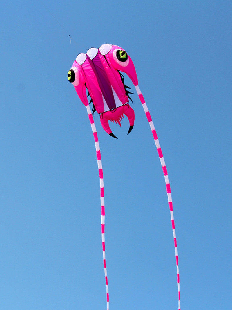 free shipping large trilobites kite flying kites windsurf weifang big kite wheel for adults kites air paraglider koinobori