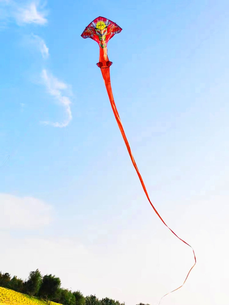 free shipping 100m chinese dragon kite flying handle line large kite snake kites for kids cometas paragliding windsurf
