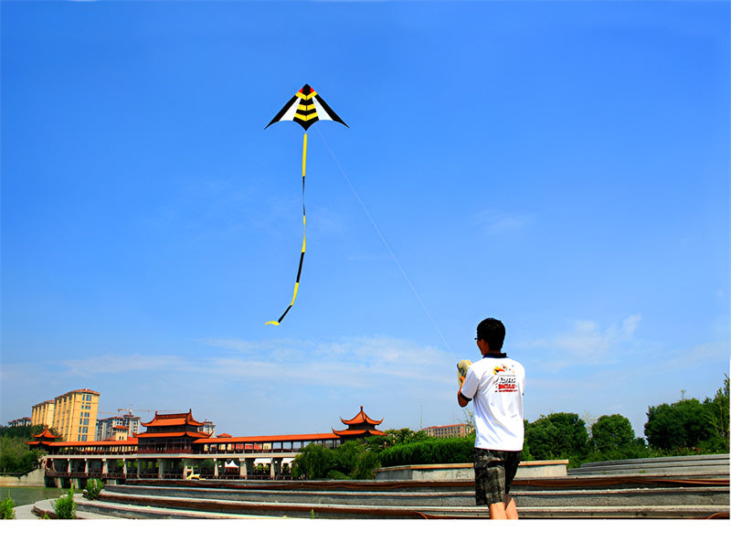 free shipping large delta kite flying nylon kite reel parachute cerf volant kevlar line eagle kiteboard kites for adults kites