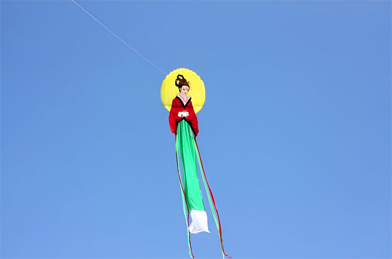 free shipping chinese traditional kites for adults flying higher outdoor toys kite reel eagle bird new pendant parapente