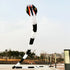 Free shipping professional kites snake soft kites for adults kite flying steering kites inflatable kite show huge kite bird big