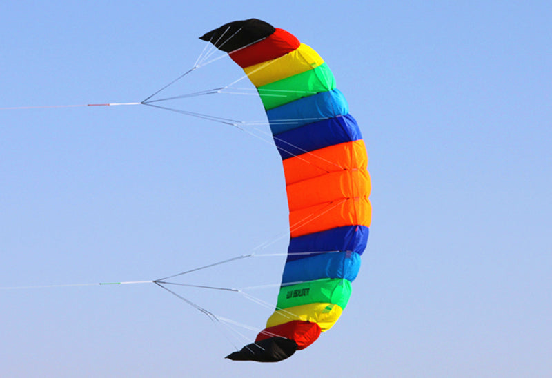 free shipping dual Line Stunt flying power Kite rainbow large soft kites for adults stingray kite ripstop nylon fabric kite reel