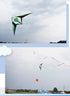 free shipping 210cm dual line stunt kites sword kites flying toys for kids kites new beginner kite windsurfing professional wind