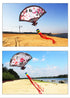 Free Shipping traditional kites flying for adults kites outdoor toys ripstop nylon Kite string paragliding wind kite children