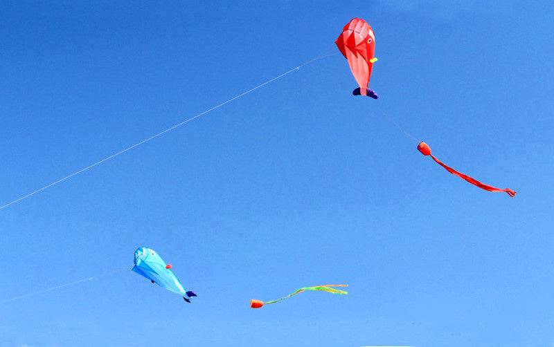 free shipping large soft kite dolphin kite nylon kite line animated kites flying inflatable kite reel outdoor fun toys Parafoil