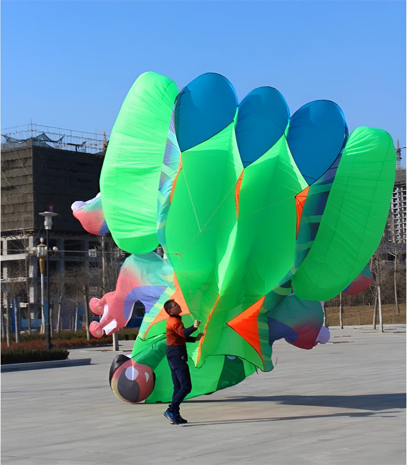 free shipping frog kite flying soft kite for adults kite line windsurf outdoor toys inflatable kite professional kite reel koi