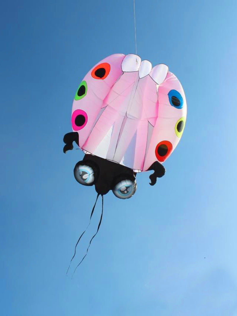 free shipping large ladybug 3D soft kite outdoor flying toys kites for adults vlieger kitesurf kite reel weifang kite factory